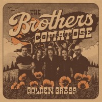 Purchase The Brothers Comatose - Golden Grass