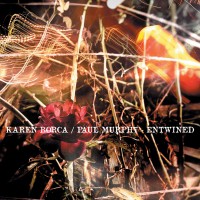 Purchase Karen Borca & Paul Murphy - Entwined