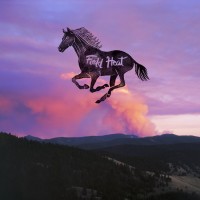 Purchase Margo Cilker - Field Heat (EP)