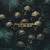 Buy Primal Era Worship - Last Outpost Mp3 Download