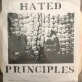 Buy Hated Principles - Storing Up Trouble (Vinyl) Mp3 Download