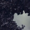 Buy Nebelung - Palingenesis Mp3 Download