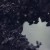 Buy Nebelung - Palingenesis Mp3 Download