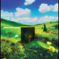 Purchase Rainbow Kitten Surprise - Bones