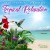 Buy Dean Evenson - Tropical Relaxation Mp3 Download