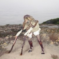 Purchase Grumpy - Piebald (EP)