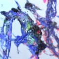Buy Simon Littauer - Modular Mp3 Download