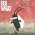 Buy Boi What - Boulevard Of Broken Dreams (CDS) Mp3 Download