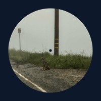 Purchase Dominic Fike - 14 Minutes