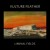 Buy Vulture Feather - Liminal Fields Mp3 Download