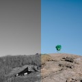 Buy Dead Gowns - How (Vmp Edition) Mp3 Download