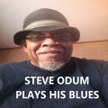 Buy Steve Odum - Steve Odum Plays His Blues Mp3 Download