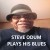 Buy Steve Odum - Steve Odum Plays His Blues Mp3 Download