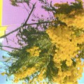 Buy Four Tet - Into Dust (Still Falling) (CDS) Mp3 Download