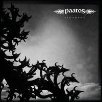 Purchase Paatos - Ligament