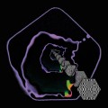 Buy Acid Rooster - Hall Of Mirrors Mp3 Download