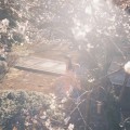 Buy Ayano Kaneko - Hikareai (ひかれあい) Mp3 Download