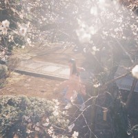 Purchase Ayano Kaneko - Hikareai (ひかれあい)