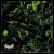 Buy Kakothanasy - Metagonism Mp3 Download