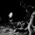 Buy Turquoisedeath - Paralyzed Wing Mp3 Download