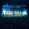 Buy Hooverphonic - The Magnificent Tree - Live With Strings Mp3 Download