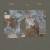 Buy M. Sage - Tender / Wading Mp3 Download