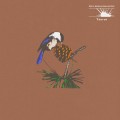 Buy Peel Dream Magazine - Taurus Mp3 Download