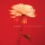 Buy Will Anderson - How Little Love Is / How Worth Everything Mp3 Download