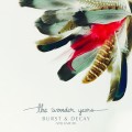 Buy The Wonder Years - Burst & Decay (Volume III) Mp3 Download