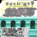 Buy Caroliner - Transcontinental Pinecone Collector Mp3 Download