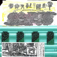 Purchase Caroliner - Transcontinental Pinecone Collector