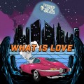 Buy The Step Beats - What Is Love (CDS) Mp3 Download