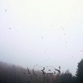 Buy Acres - Solace Mp3 Download