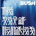 Buy Bush - Sea of Memories Mp3 Download