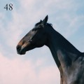 Buy Moss Kena - 48 (Feat. Jay Prince) (CDS) Mp3 Download