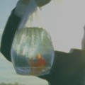 Buy Chet Faker - Inefficient Love (CDS) Mp3 Download