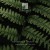Buy Heavenchord & Infinity Dots - Landscapes Of The Soul Mp3 Download