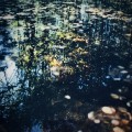 Buy Zakè - Wash Away Mp3 Download
