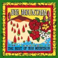 Buy Big Mountain - The Best Of Big Mountain Mp3 Download