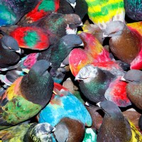 Purchase Blawan - SickElixir