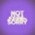 Buy Moonchild - Not Sorry (CDS) Mp3 Download