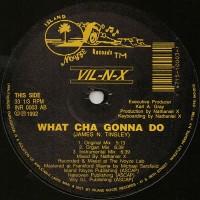 Purchase Vil-N-X - What Cha Gonna Do (VLS)