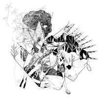 Purchase Jesca Hoop - Selective Memory
