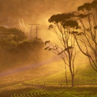 Purchase Hilyard - Suspension