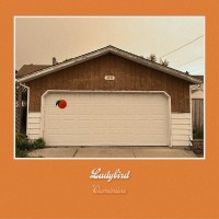 Purchase Ladybird - Clementine