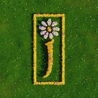 Purchase James - Nothing But Love: The Definitive Best Of CD2