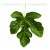 Buy Caedmon's Call - Overdressed Mp3 Download