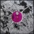Buy Manix - Feel Real Good Mp3 Download