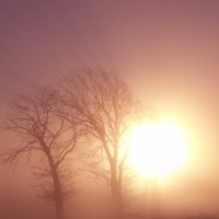 Purchase Eternell - Waking Music