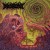 Buy Disembodiment - Spiral Crypts Mp3 Download